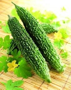 广西人吃凉瓜视频,凉瓜视频大赏，清凉一夏尽享美味