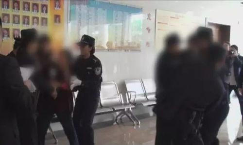 法院吃瓜现场视频大全最新,一窥司法公正背后的趣味瞬间