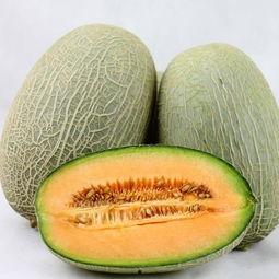 医生喜欢吃哈密瓜吗视频,哈密瓜在医生中的受欢迎程度