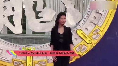 吃瓜鹅组视频解说,揭秘娱乐圈幕后故事