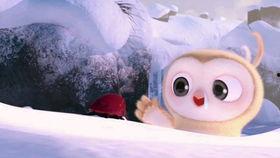 吃瓜比赛视频合集教程,趣味横生的视觉盛宴