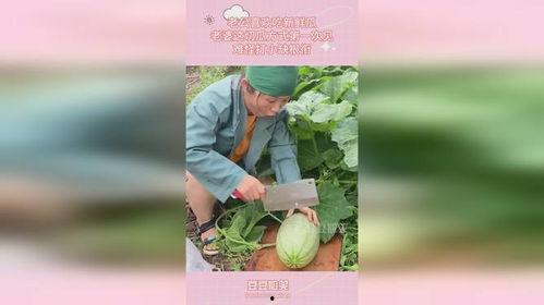 老婆中午吃小瓜好吗视频,老婆小瓜视频大受欢迎