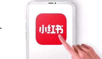 小红书视频吃瓜